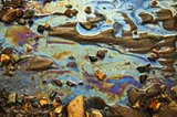 EPA Enforcement Roundup: Week of 7/22